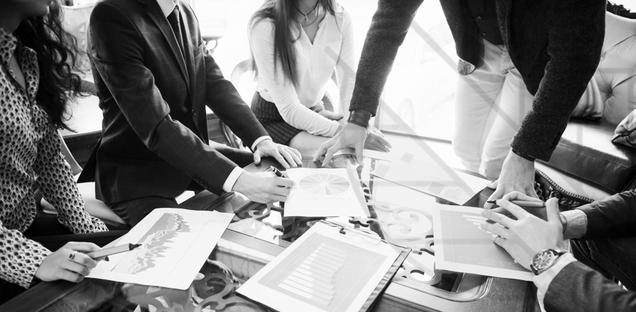 Auditora legal (Due Diligence)