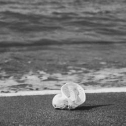 Impacto y riesgo ambiental